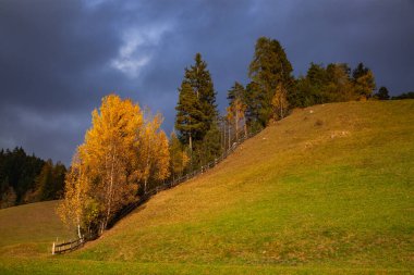 Alpe de Siusi Sud Tyrol İtalya 'da sonbahar manzarası