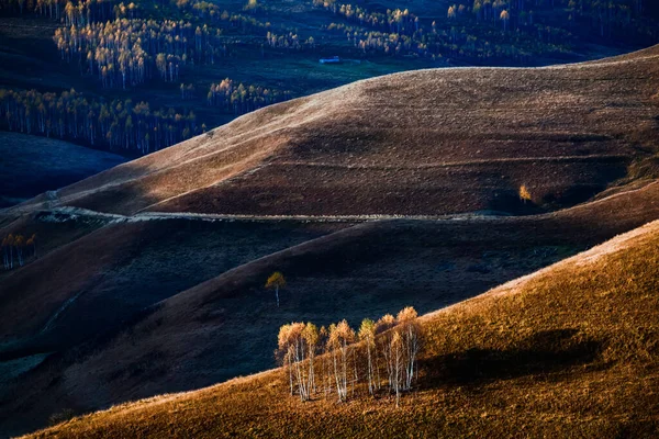 Sonbahar Arkaplanı Manzarada Renkli Ağaçlar — Stok fotoğraf