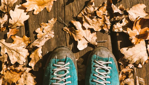 Autumn Background Trekking Shoes Colorful Foliage — Stock Photo, Image