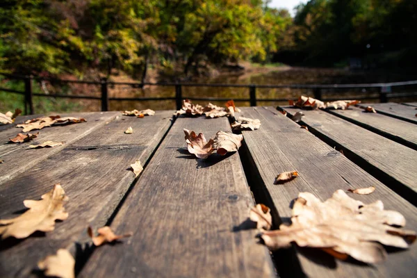 Fondo Otoño Follaje Colorido Sobre Fondo Madera — Foto de Stock