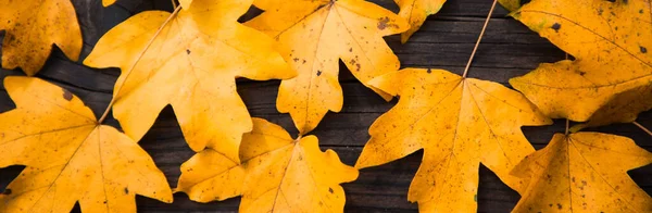 Herfst Achtergrond Kleurrijke Gebladerte Houten Achtergrond — Stockfoto