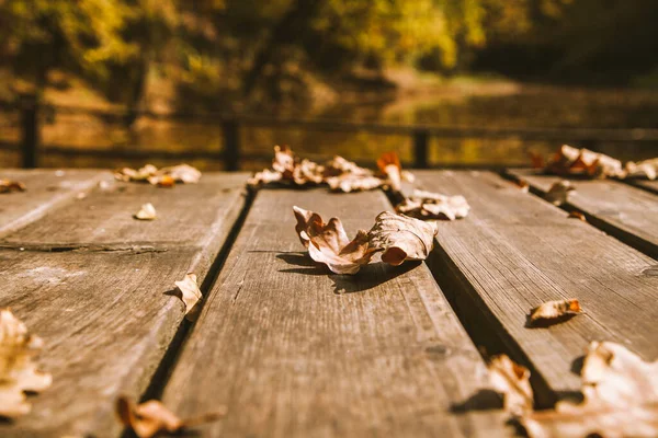 Herfst Achtergrond Kleurrijke Gebladerte Houten Achtergrond — Stockfoto