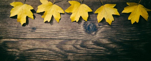 Herfst Achtergrond Kleurrijke Gebladerte Houten Achtergrond — Stockfoto