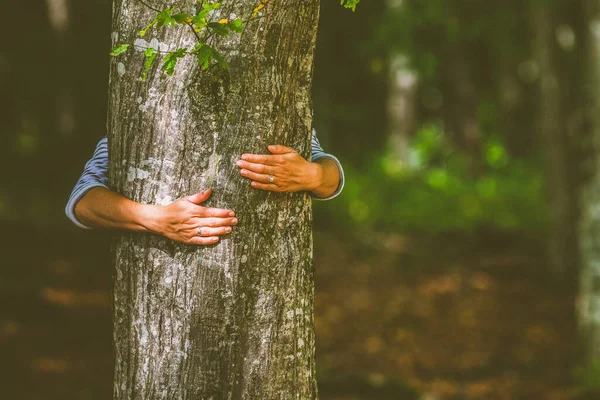 Main Femme Embrassant Arbre Dans Forêt Aimer Nature Lutter Contre — Photo