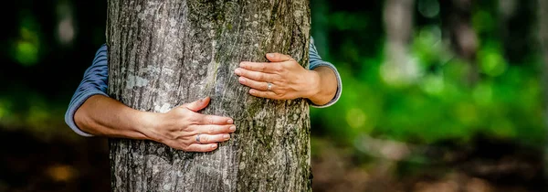 Main Femme Embrassant Arbre Dans Forêt Aimer Nature Lutter Contre — Photo