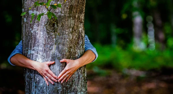 女人手挽着森林里的一棵树 热爱自然 与全球变暖作斗争 — 图库照片