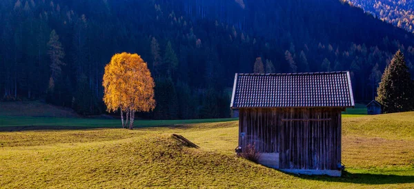 Herbst Hintergrund Bunte Bäume Der Landschaft — Stockfoto