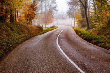 Sonbaharda güzel sisli ormanda kıvrımlı bir yol