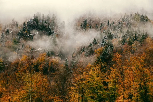 Nebelschwaden Herbst — Stockfoto