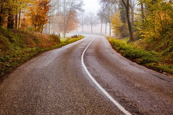 Carretera Con Curvas Hermoso Bosque Nublado Otoño — Foto de Stock