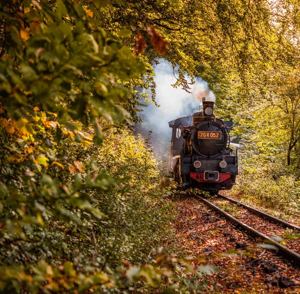 Vieux Train Vapeur Vintage Dans Forêt Lent Voyage — Photo