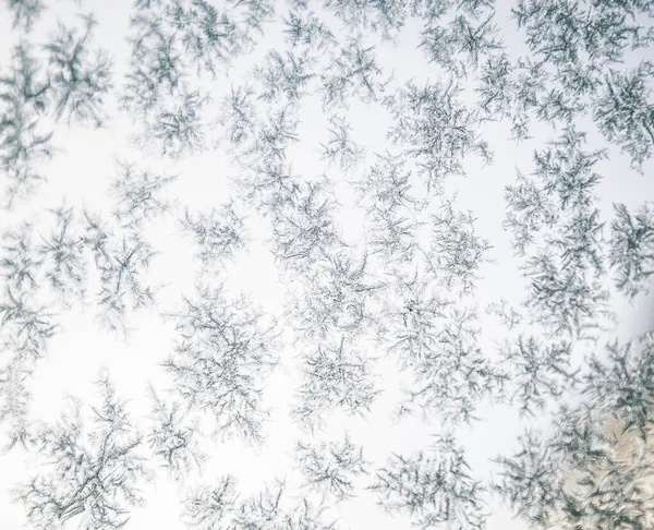 Hermosos Copos Nieve Congelados Fondo Navidad — Foto de Stock