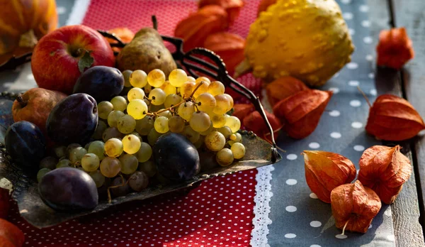 Taze Sonbahar Meyveleri Sebzeleri Şükran Günü — Stok fotoğraf