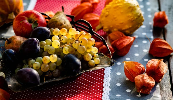Taze Sonbahar Meyveleri Sebzeleri Şükran Günü — Stok fotoğraf