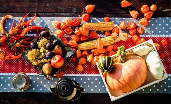 Friss Őszi Gyümölcs Zöldség Hálaadás — Stock Fotó