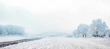 Donmuş güzel kış manzarası Donmuş ağaçlarla
