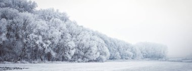 Donmuş güzel kış manzarası Donmuş ağaçlarla