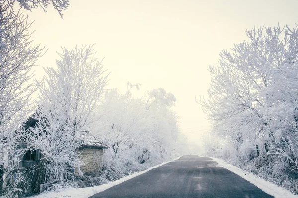 Prachtig Bevroren Winterlandschap Met Ijzige Bomen — Stockfoto