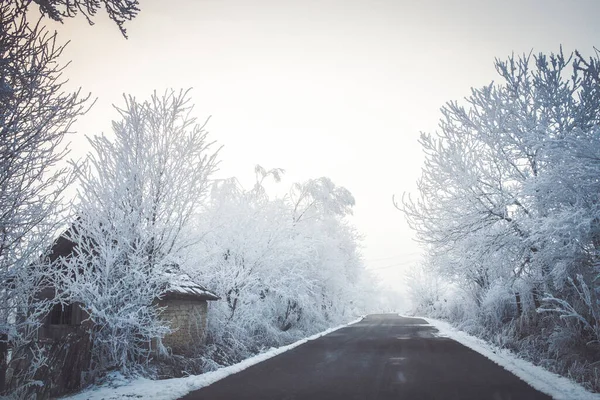 Schöne Gefrorene Winterlandschaft Mit Frostigen Bäumen — Stockfoto