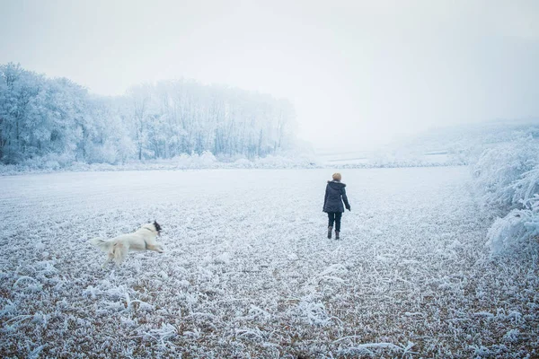 Schöne Gefrorene Winterlandschaft Mit Frostigen Bäumen — Stockfoto