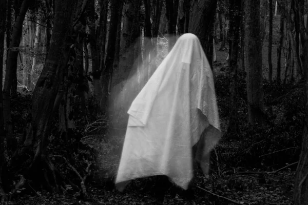 Fantôme Dans Une Forêt Sombre Halloween Fond — Photo