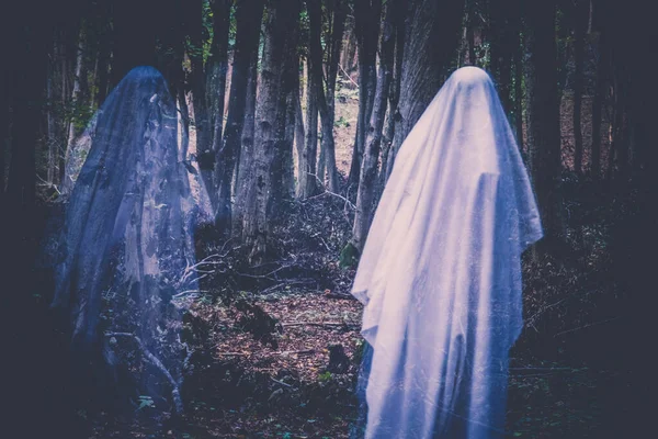 Spöke Mörk Skog Halloween Bakgrund — Stockfoto