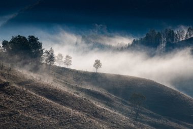 Güzel sonbahar erken doğası. Arka plandaki sisli ağaçlar dağlarda.