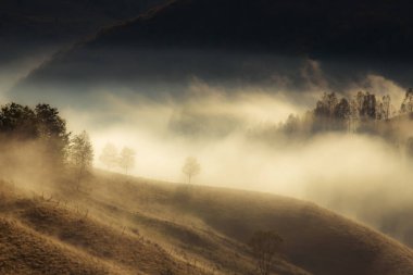 Güzel sonbahar erken doğası. Arka plandaki sisli ağaçlar dağlarda.