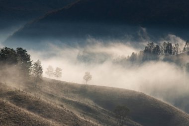Güzel sonbahar erken doğası. Arka plandaki sisli ağaçlar dağlarda.