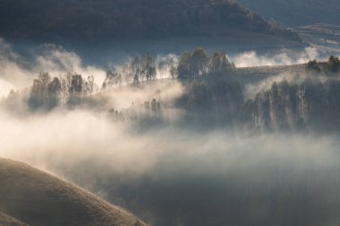 Güzel sonbahar erken doğası. Arka plandaki sisli ağaçlar dağlarda.