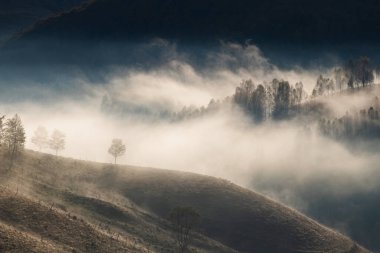 Güzel sonbahar erken doğası. Arka plandaki sisli ağaçlar dağlarda.