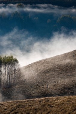 Güzel sonbahar erken doğası. Arka plandaki sisli ağaçlar dağlarda.