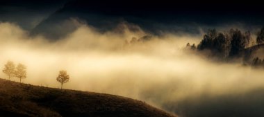 Güzel sonbahar erken doğası. Arka plandaki sisli ağaçlar dağlarda.