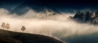 Güzel sonbahar erken doğası. Arka plandaki sisli ağaçlar dağlarda.