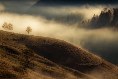 Güzel sonbahar erken doğası. Arka plandaki sisli ağaçlar dağlarda.