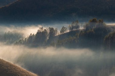 Güzel sonbahar erken doğası. Arka plandaki sisli ağaçlar dağlarda.