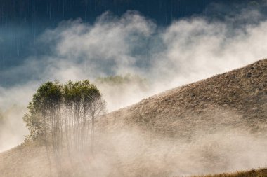 Güzel sonbahar erken doğası. Arka plandaki sisli ağaçlar dağlarda.