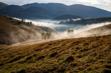 Güzel sonbahar erken doğası. Arka plandaki sisli ağaçlar dağlarda.