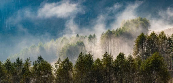 Beautiful Early Autumn Nature Background Foggy Trees Mountains — Stock Photo, Image