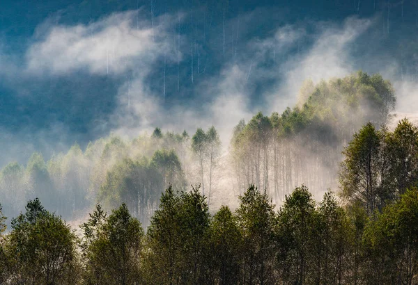 Schöne Frühe Herbst Natur Hintergrund Neblige Bäume Den Bergen — Stockfoto