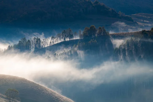 Hermosos Principios Otoño Naturaleza Fondo Neblina Árboles Las Montañas — Foto de Stock