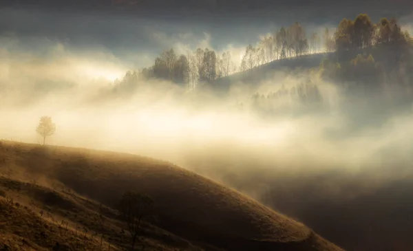 Hermosos Principios Otoño Naturaleza Fondo Neblina Árboles Las Montañas — Foto de Stock