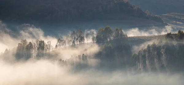 Piękna Wczesna Jesień Natura Tło Mgliste Drzewa Górach — Zdjęcie stockowe