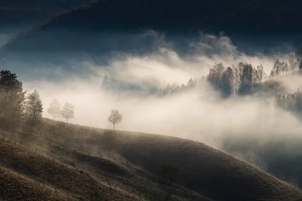 Hermosos Principios Otoño Naturaleza Fondo Neblina Árboles Las Montañas — Foto de Stock