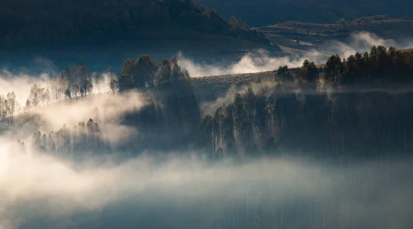 美しい初秋の自然背景霧深い山の木々 — ストック写真