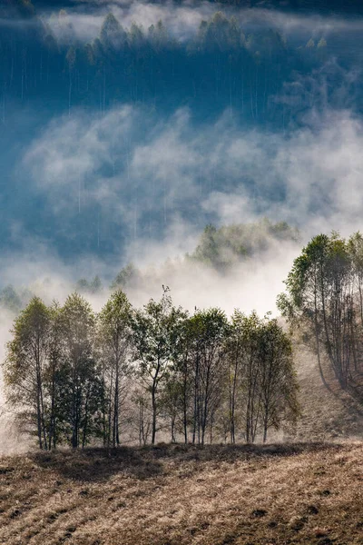 Bellissimo Inizio Autunno Natura Sfondo Alberi Nebbiosi Montagna — Foto Stock