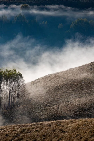 Güzel sonbahar erken doğası. Arka plandaki sisli ağaçlar dağlarda.