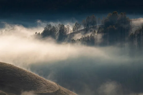 美しい初秋の自然背景霧深い山の木々 — ストック写真