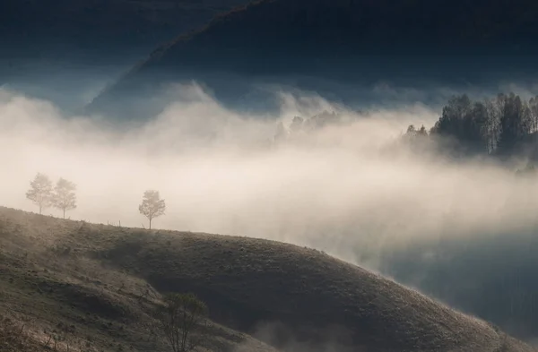 Bellissimo Inizio Autunno Natura Sfondo Alberi Nebbiosi Montagna — Foto Stock