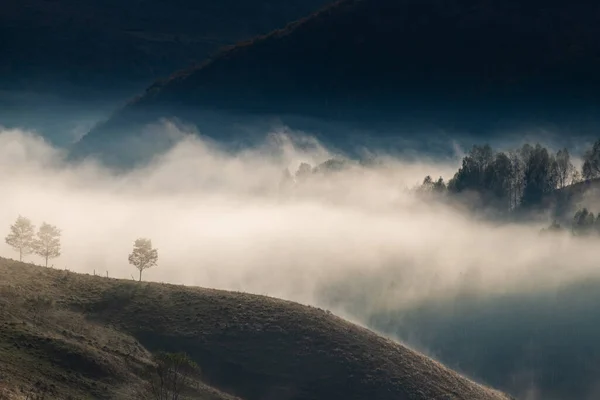 Hermosos Principios Otoño Naturaleza Fondo Neblina Árboles Las Montañas — Foto de Stock